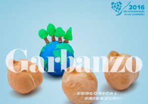 legumbres-nutricionista-mallorca